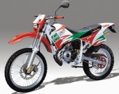 2005 Rieju RR Castrol photo